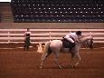 Holistic horse boarding & riding lesson facility with custom natural care along with massage, energy work, light therapy, saddle fit & consultation for horse purchase, animal & human nutrition, animal communication.