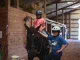 After School Horse Program, After School Enrichment Program