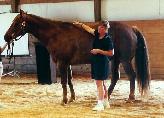Holistic Horse Health Workshops & Nutrition, Horse boarding, training, riding lessons, massage, bio-energy work, light therapy, nutrition consulting & wellness for people & animals.