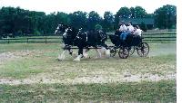 Rainbow Acre Stables, Workshops, Clinics & Expos.  Horse & Rider Health.  Alternative Services and natural products.  T-Tapp for riders
