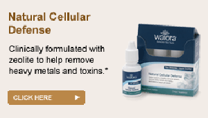 Toxicity, Natural Cellular Defense, laminitis, cushings, insulin resistance, melanomas, kidney disease, cancer