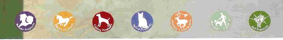 Holistic horse boarding & riding lesson facility with custom natural care, Dynamite nutrition products, massage, energy work, light therapy, saddle fit, animal communication, magnets, consultations for horse purchase, animal & human nutrition & wellness consultation